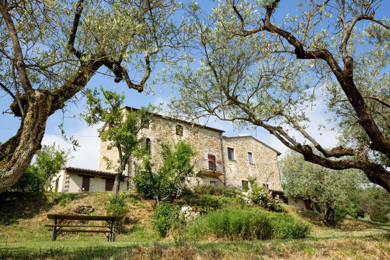 Villa Colle Di Rocco Limigiano Eksteriør billede