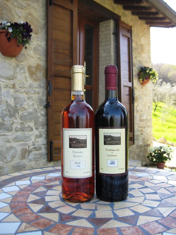 Villa Colle Di Rocco Limigiano Eksteriør billede